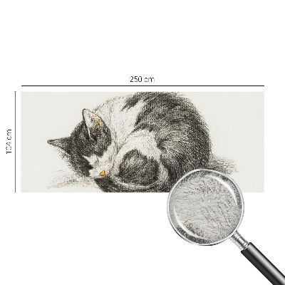 Fotótapéta Imádnivaló cica