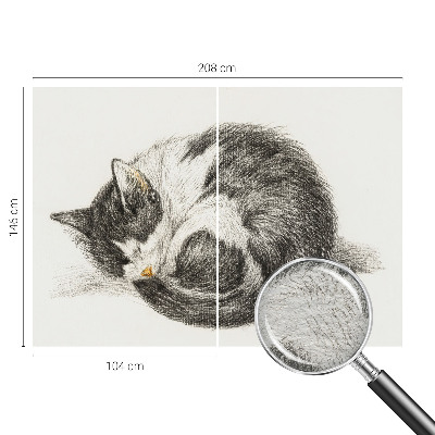 Fotótapéta Imádnivaló cica