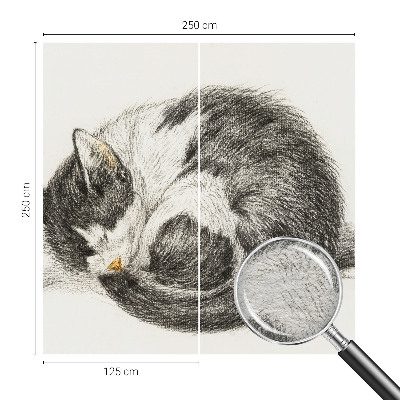 Fotótapéta Imádnivaló cica