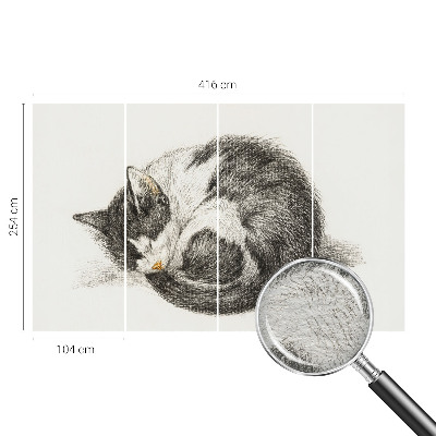 Fotótapéta Imádnivaló cica