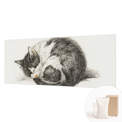 Fotótapéta Imádnivaló cica