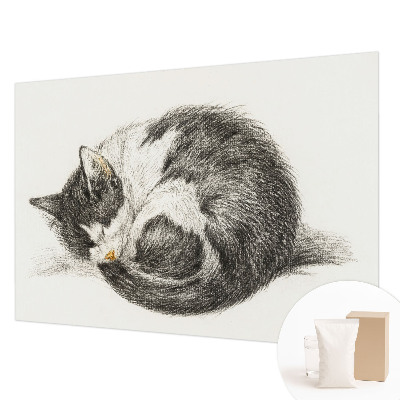 Fotótapéta Imádnivaló cica