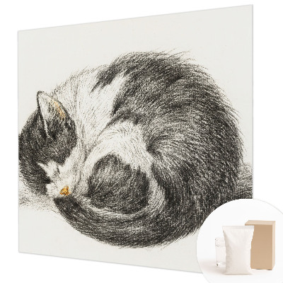 Fotótapéta Imádnivaló cica