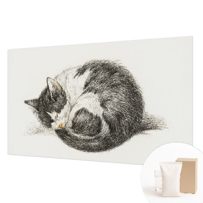 Fotótapéta Imádnivaló cica