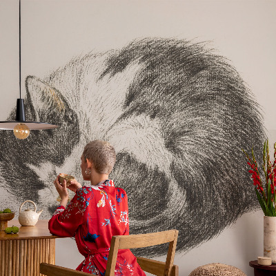 Fotótapéta Imádnivaló cica