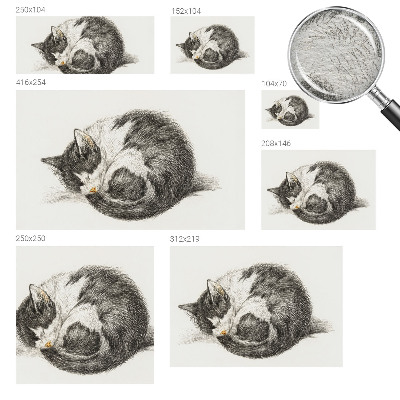 Fotótapéta Imádnivaló cica