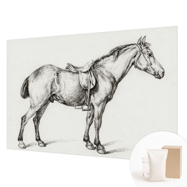 Poszter tapéta Vázlat egy lóról