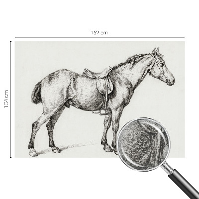 Poszter tapéta Vázlat egy lóról