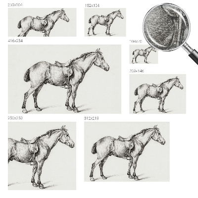 Poszter tapéta Vázlat egy lóról