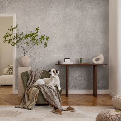 Fényképes tapéta Betonminta