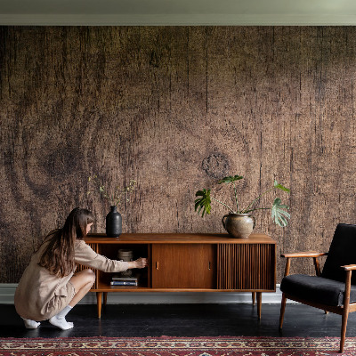 Dekoratív fotótapéta nappaliba Rusztikus fa