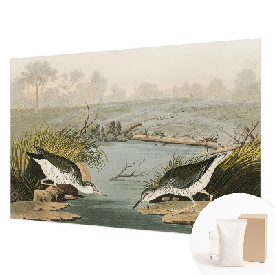 Kép tapéta Egy békés táj