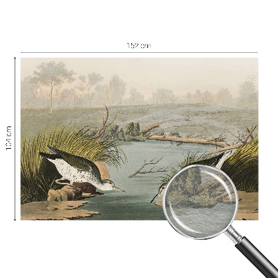 Kép tapéta Egy békés táj