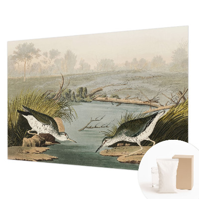 Kép tapéta Egy békés táj