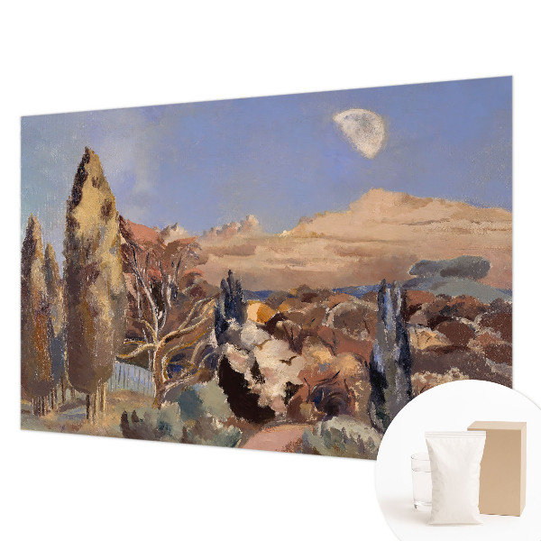 Kép tapéta Erdő táj