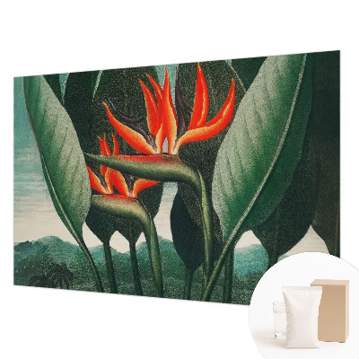 Vlies alapú fotótapéta Egzotikus virágok