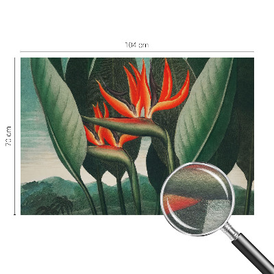 Vlies alapú fotótapéta Egzotikus virágok