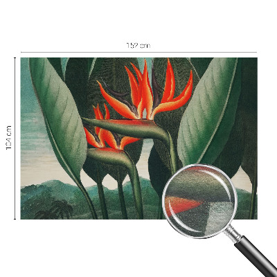 Vlies alapú fotótapéta Egzotikus virágok