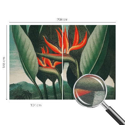 Vlies alapú fotótapéta Egzotikus virágok