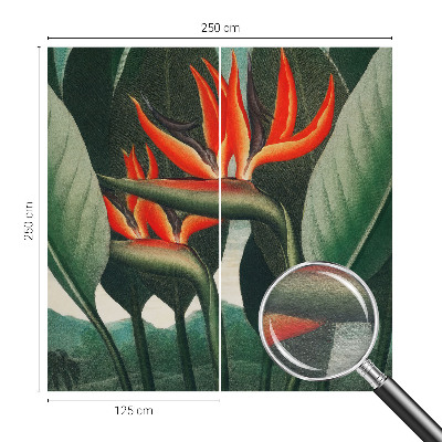 Vlies alapú fotótapéta Egzotikus virágok