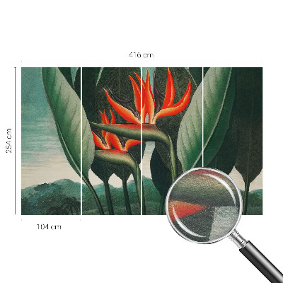 Vlies alapú fotótapéta Egzotikus virágok