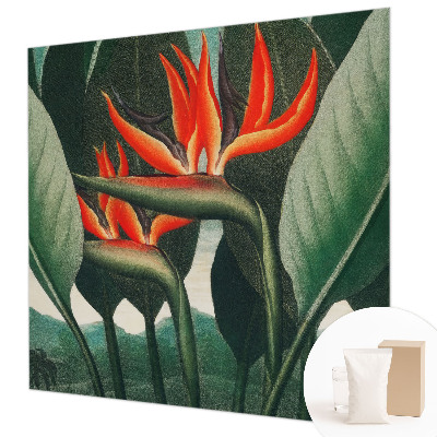 Vlies alapú fotótapéta Egzotikus virágok