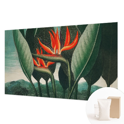 Vlies alapú fotótapéta Egzotikus virágok