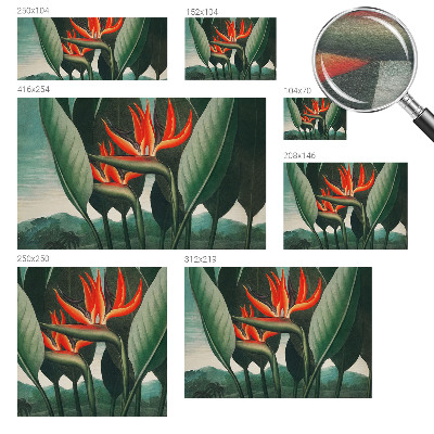 Vlies alapú fotótapéta Egzotikus virágok