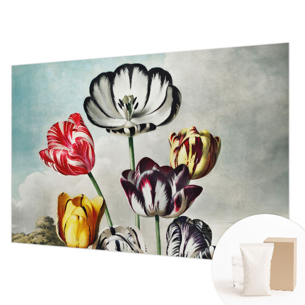 Vlies fotótapéta hálószobába Színes tulipánok