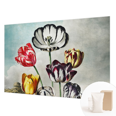 Vlies fotótapéta hálószobába Színes tulipánok