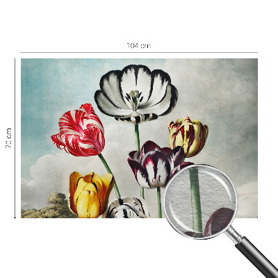 Vlies fotótapéta hálószobába Színes tulipánok