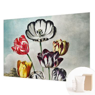 Vlies fotótapéta hálószobába Színes tulipánok