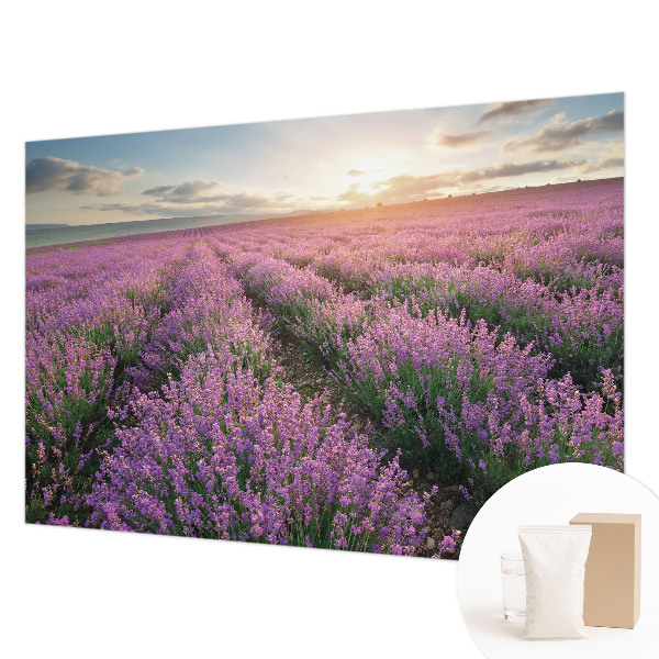 Dekor fotótapéta Levendula mezők