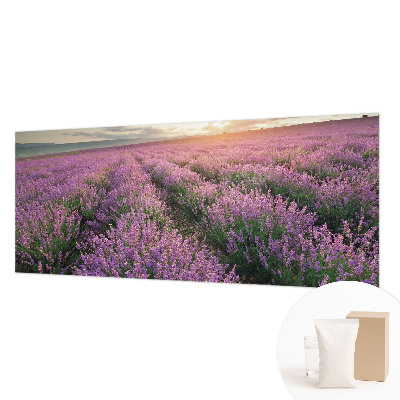 Dekor fotótapéta Levendula mezők