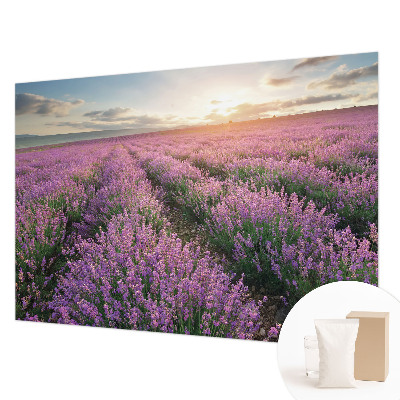 Dekor fotótapéta Levendula mezők