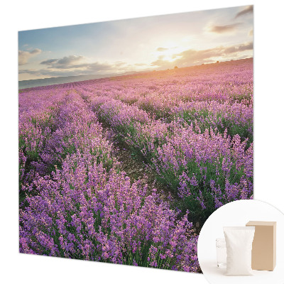 Dekor fotótapéta Levendula mezők