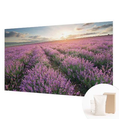 Dekor fotótapéta Levendula mezők
