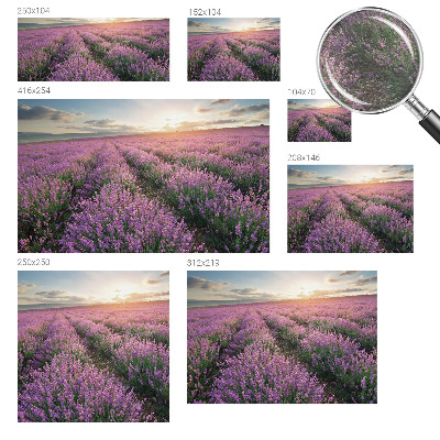 Dekor fotótapéta Levendula mezők