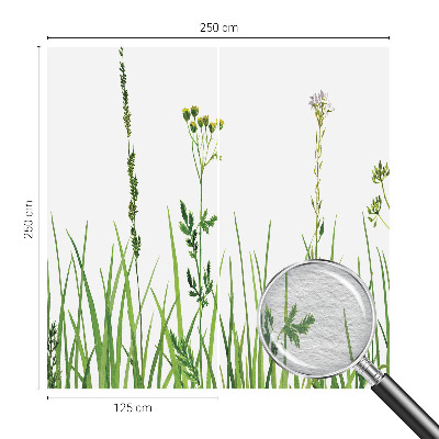 Fényképes tapéta Finom növényvilág