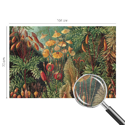 Modern fotótapéta méretre Egzotikus kert