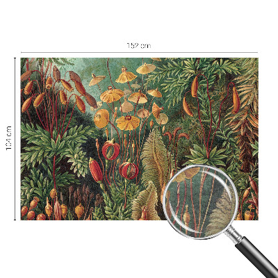 Modern fotótapéta méretre Egzotikus kert