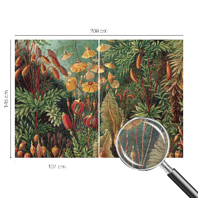 Modern fotótapéta méretre Egzotikus kert