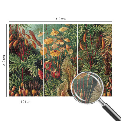 Modern fotótapéta méretre Egzotikus kert