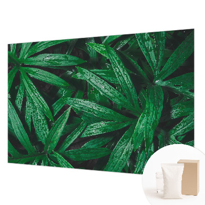 Nyomtatott vlies fotótapéta Természetes növényzet