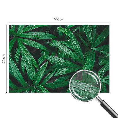 Nyomtatott vlies fotótapéta Természetes növényzet