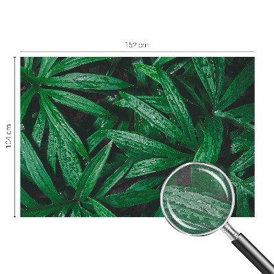 Nyomtatott vlies fotótapéta Természetes növényzet