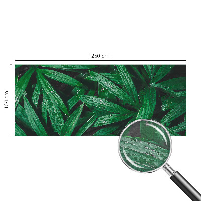 Nyomtatott vlies fotótapéta Természetes növényzet