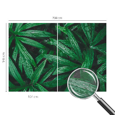 Nyomtatott vlies fotótapéta Természetes növényzet