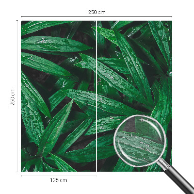 Nyomtatott vlies fotótapéta Természetes növényzet