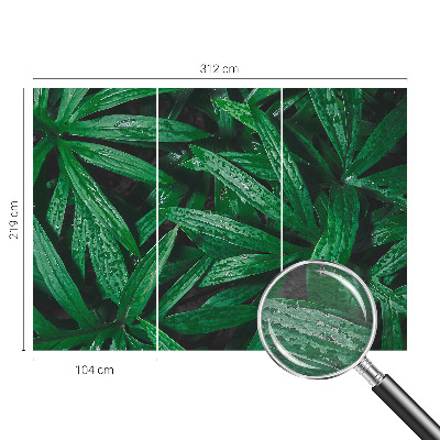 Nyomtatott vlies fotótapéta Természetes növényzet